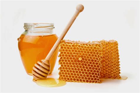 081654915017, khasiat madu lebah asli YouTube