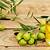 khasiat olive oil