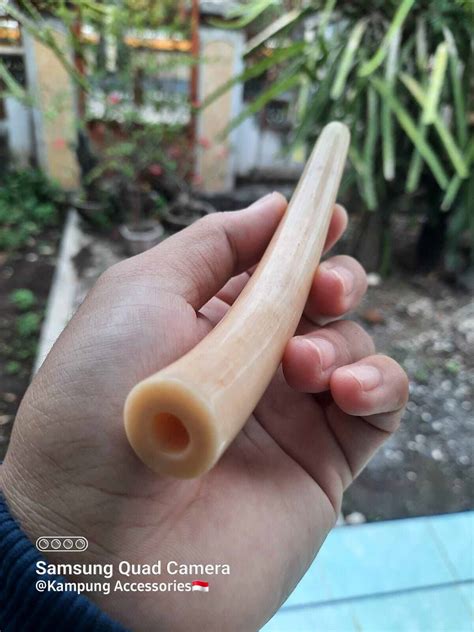 Pipa Rokok Once Tulang Iga Duyung Ukir Naga Asli Original Inz60 Shopee Indonesia