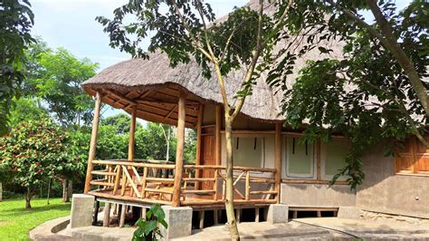 kibale forest canopy