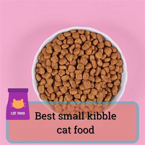 kibble food for cats