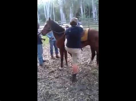 kicked in the head by a horse band