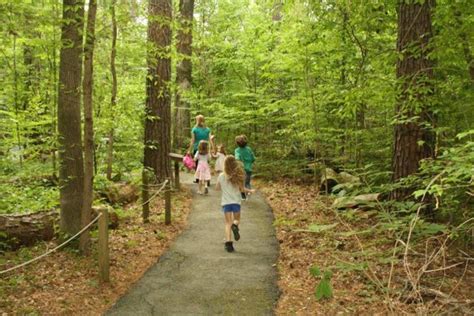 Kid friendly easy hikes near Asheville NC Explore More Clean Less in