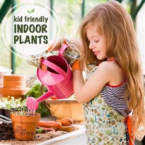 Kid-Friendly Plants