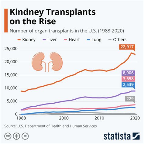 KaplanMeier survival plot illustrating patient survival after kidney