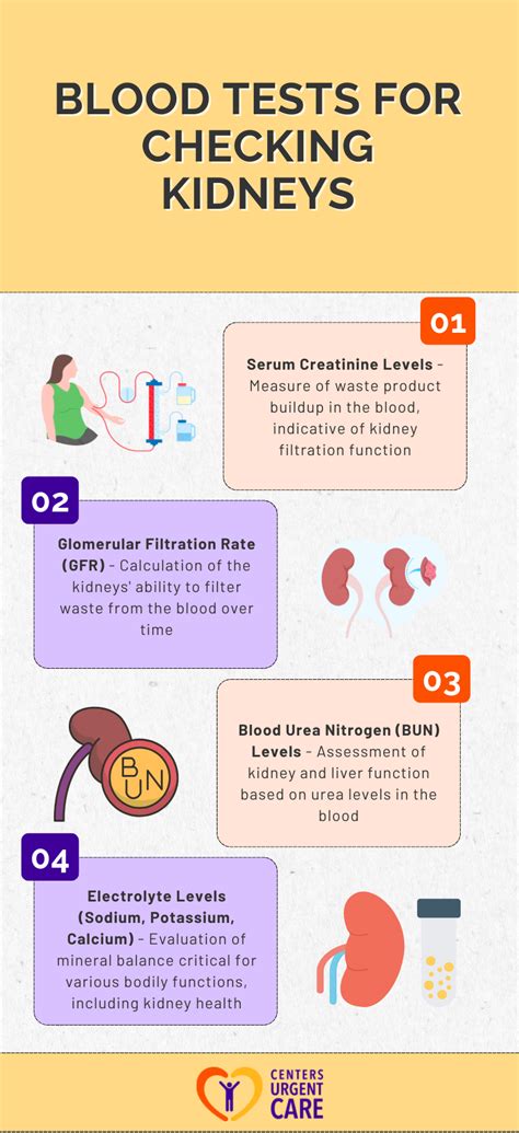 Understanding Your Kidney Health: The Importance of Kidney Blood Test