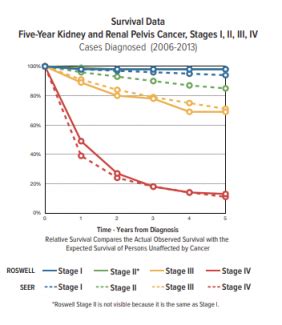 kidney cancer spread to liver survival rate