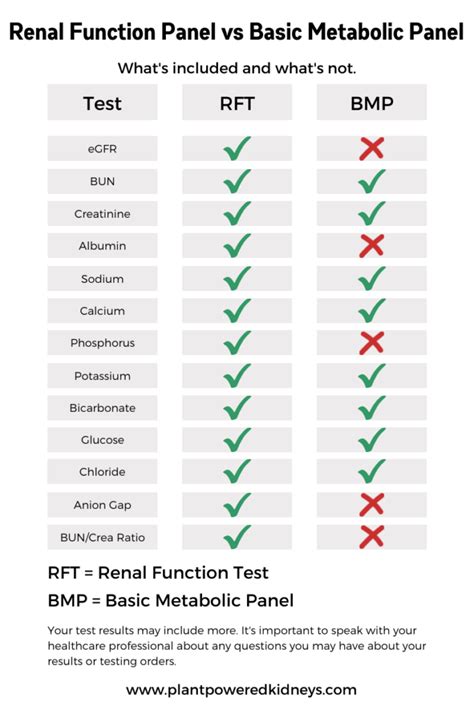 Understanding Your Kidney Health: What Does a Kidney Function Panel Reveal?