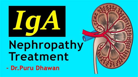 kidney iga nephropathy treatment