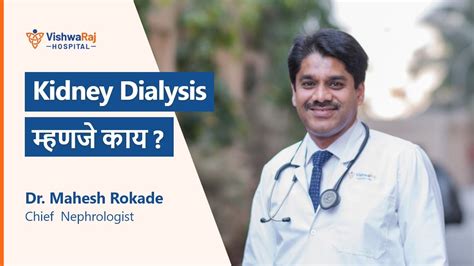 kidney meaning in marathi with example
