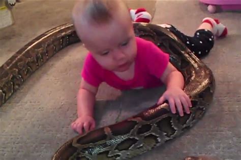 kids playing with snakes youtube