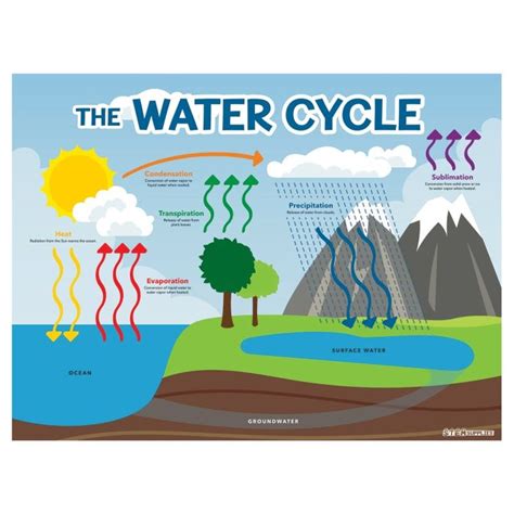 kids water cycle poster