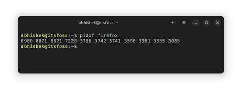 Kill A Process By Id Linux