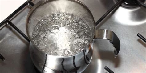 Kill Bed Bugs With Boiling Water