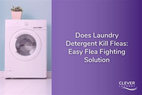 Kill Fleas In Laundry Detergent