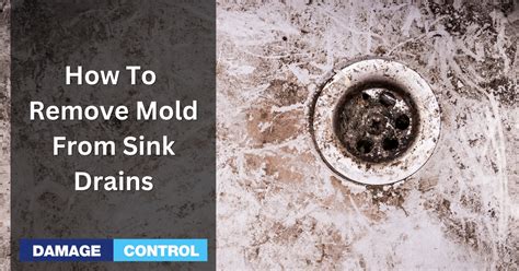 Kill Mold In Drain