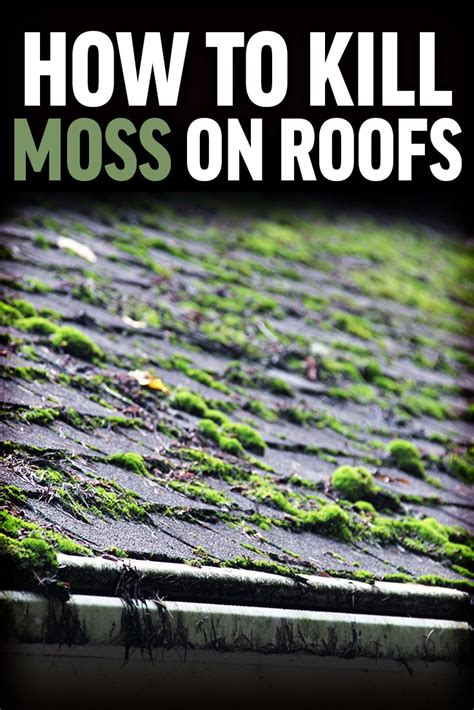 kill moss on roof copper
