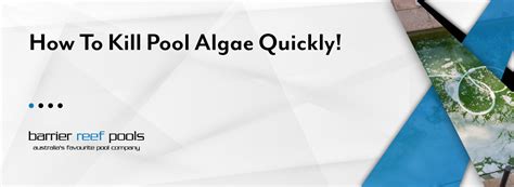 kill pool algae fast