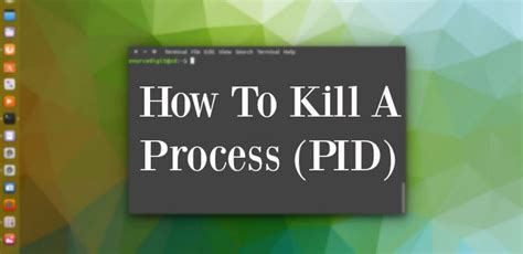 Kill Process At Pid