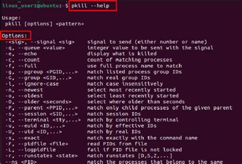 Kill Process By Pid Ubuntu Terminal