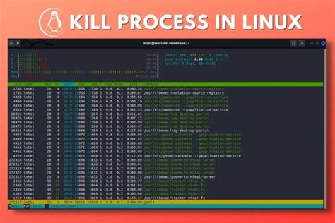 Kill Process By User Linux