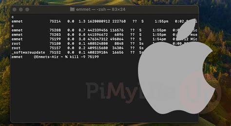 Kill Process In Terminal Mac