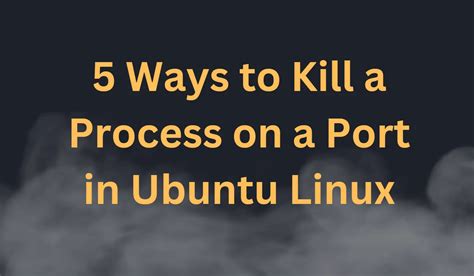 Kill Process On Port Linux Ubuntu