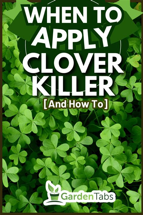 kill white clover