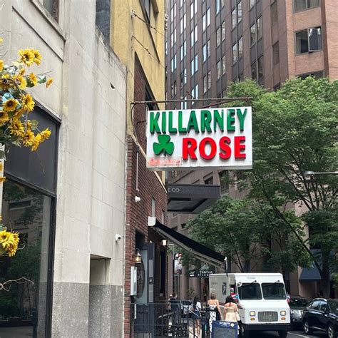 Rare Killarney Rose Secrets Unveiled!