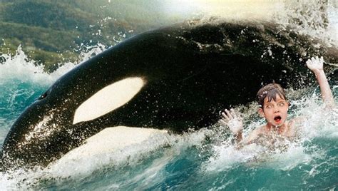 killer whale next to human