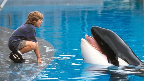 killer whales attack humans