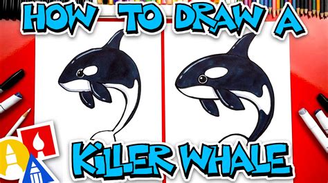 killer whales video for kids