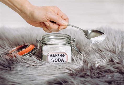 Baking Soda And Salt For Killing Fleas Search Home Remedy