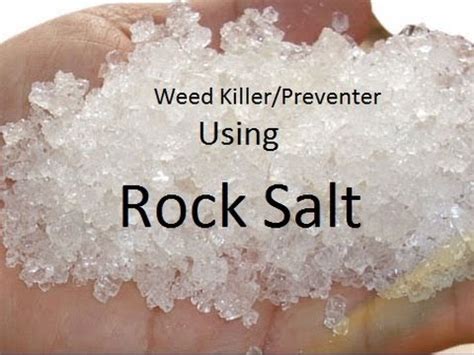 Killing Weeds with Salt. Does 27p Salt REALLY Kill Weeds?