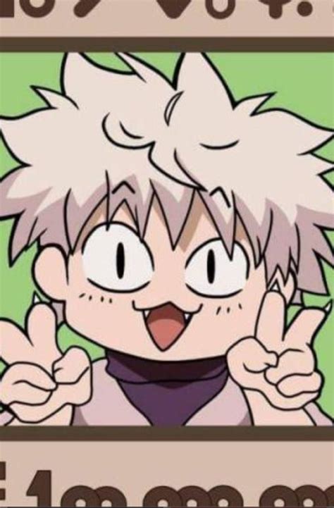 Killua Pfp Aesthetic Cat