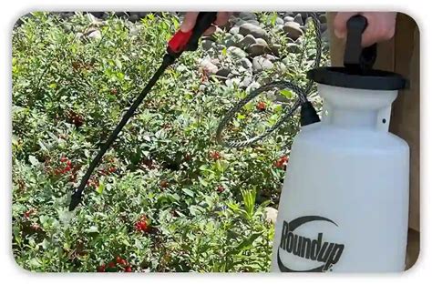 Kimo Sprayer Not Working