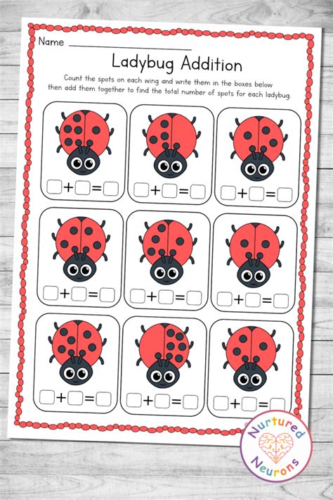 Kindergarten Ladybug Math Worksheets Pdf