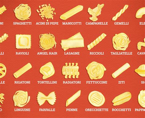 kinds of noodles pasta