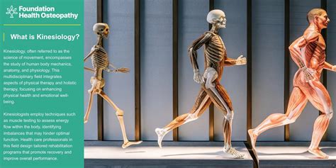 Kinesiology Science Explained