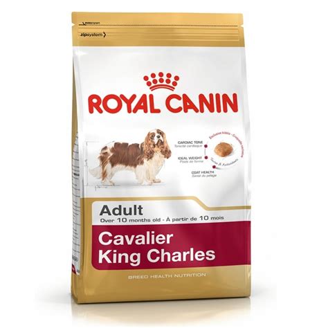 king charles cavalier dog food