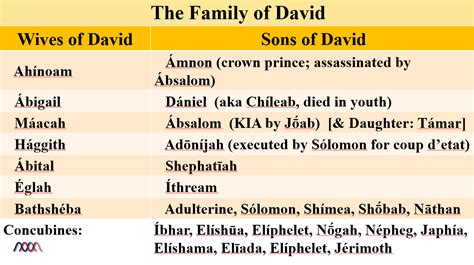 king david's wives and children
