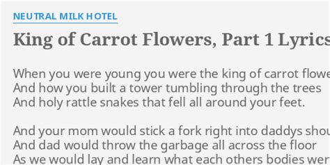 King of Carrot Flowers Guitar (Chords, Lyrics) YouTube