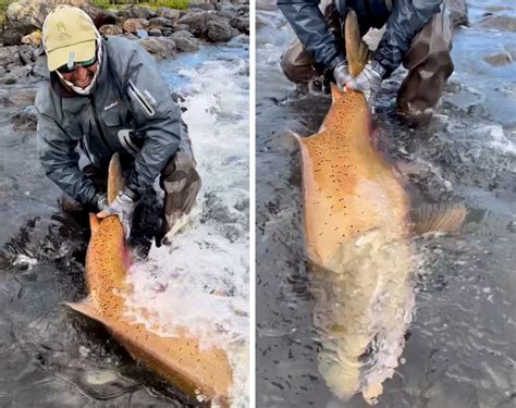 king salmon world record