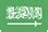 king saud university post code