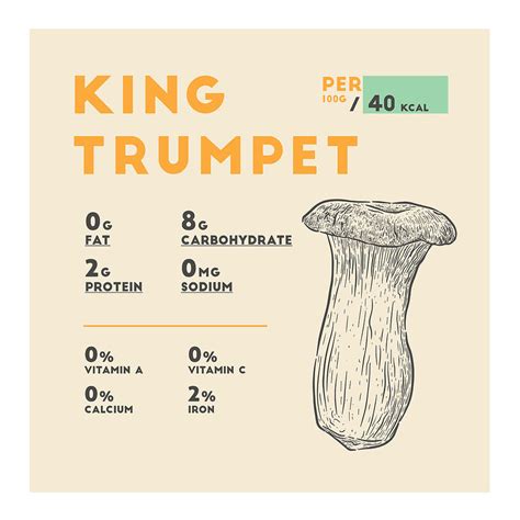 king trumpet mushroom nutrition