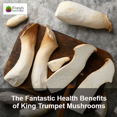 king trumpet mushrooms health benefits