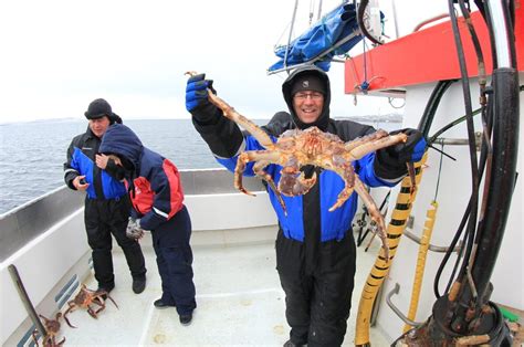 Ultimate Kingcrab Hunting Guide Unveiled