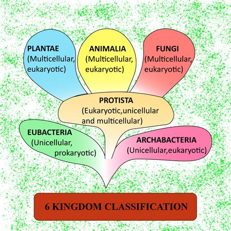 kingdom dalam biologi