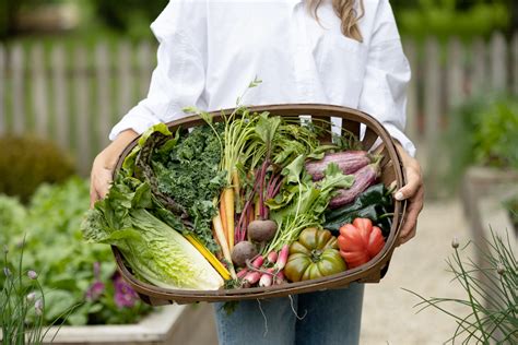 Kippenmestkorrels Moestuin