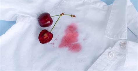 Beerenflecken entfernen Diese Tipps helfen wirklich Modeexpertise